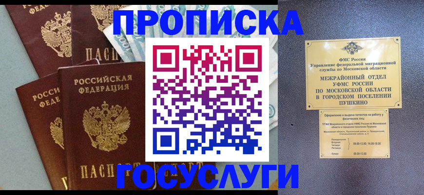 прописка гарантия в Эртили